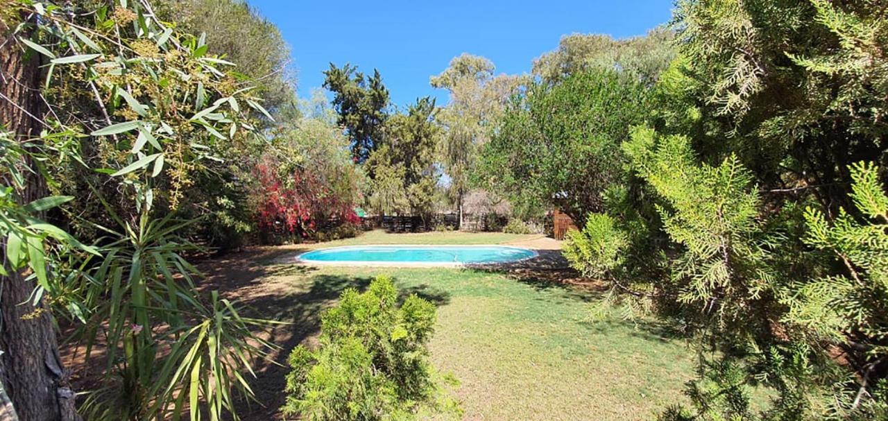 Welgeluk Feather Palace Oudtshoorn Kültér fotó